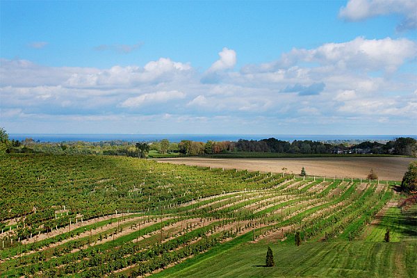 Vineyard-Haven.jpg