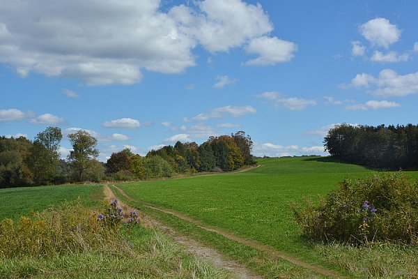 WallsBeautiful-Landscapes-Cumulus.jpg