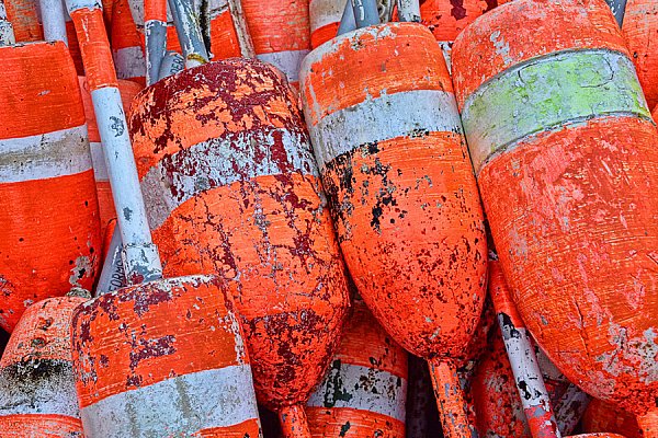 WallsB_ClassicBlueArtwork_Buoys.jpg